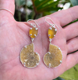 ammonite + yellow sea glass earrings