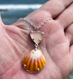 peachy pink sea glass and sunrise shell prong necklace